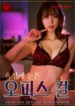 剧情长片夜航灯塔的资料条目封面
